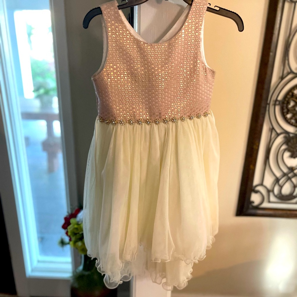 Beautiful pink and gold chiffon dress.